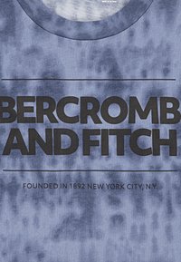 Abercrombie & Fitch CINDER BLOCK - Print T-shirt - castlerock