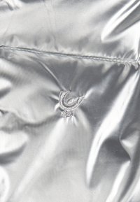 Giacca a vento argentata con texture lucida e liscia. Presenta un logo ricamato al centro. Le cuciture sono visibili lungo le giunture.