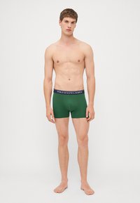 Zelene bokserice s temno modrim elastičnim pasom, ki vsebujejo logotip "POLO RALPH LAUREN". Gladka tekstura in prilegajoča zasnova, brez dodatnih vzorcev.