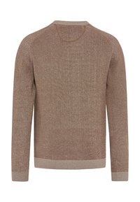 Brown knitted sweater with long sleeves, ribbed texture, and contrasting lighter cuff and hem accents. Round neckline, back view shown.