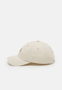 Dickies HARDWICK UNISEX - Naģene - cement