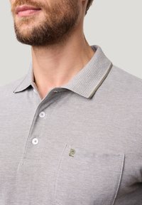 Grijze poloshirt met een gestructureerde stof, gestreepte kraag in lichtgrijs en een klein groen logo op de borstzak. Drieknoopsluiting.