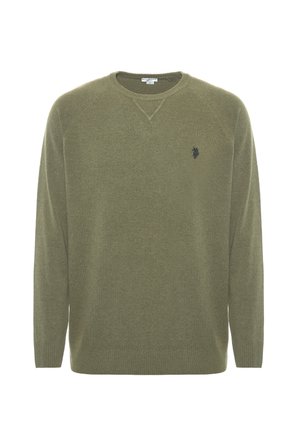 Maglione verde oliva con scollo a girocollo e finitura testurizzata. Presenta polsini e orlo a coste, e un piccolo logo scuro sul petto.