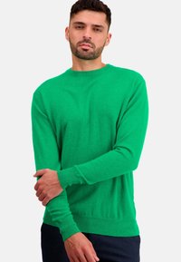 Mahogany NESTOR - Strickpullover - new green