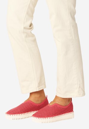 TULIP - Slipper - baked apple pearled ivory