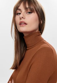 ONLY ONLVENICE ROLLNECK - Striktrøje - ginger bread
