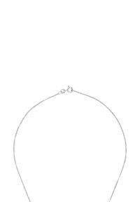 Collana in argento con un design delicato e sottile; presenta una chiusura a moschettone; texture liscia e finitura lucida.