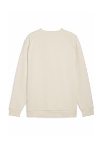 Felpa color crema con un design semplice, realizzata in morbido cotone. Presenta maniche raglan e polsini e orlo a costine.