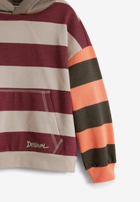 Desigual WITH COMBINED STRIPES - Mikina s kapucňou - multi coloured