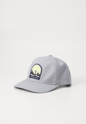 STRIPES AND PINES HIGH-CROWN - Keps - light grey heather