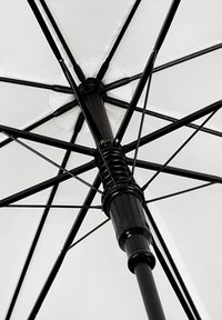 Schwarze Metallschirmstruktur mit acht Streben, die ein weißes Stoffdach präsentiert und einen glänzenden, strukturierten Griff am Stock hat.