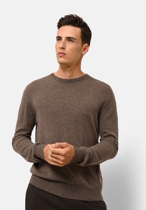 HOWARD - Strickpullover - taupe chiné