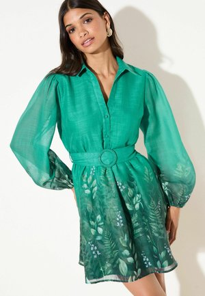 Žalia suknelė su sagomis priekyje, ilgomis pusiau permatomomis rankovėmis, liemeniu su diržo juosta ir gėlių raštais apačioje. Lengvas audinys su lygiu paviršiumi.