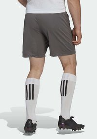 Pantalones cortos deportivos grises con una textura suave, combinados con calcetas blancas hasta la rodilla que tienen tres rayas negras, y zapatillas negras con acentos morados.