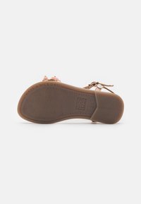 Sandalia plana marrón, con adornos florales semitransparentes en color rosa, suela de goma texturizada y correa ajustable con hebilla de metal.