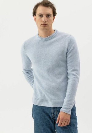 Junger Mann mit hellbraunen Haaren, der einen hellblauen Pullover mit Rundhalsausschnitt und blaue Jeans trägt und vor einem schlichten weißen Hintergrund steht.