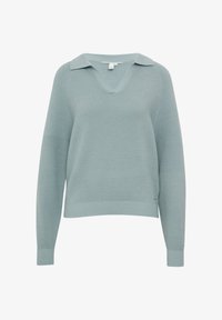 Unausgewählt, salbeigrün