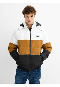 INSIDE Chaqueta de invierno - black