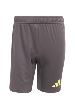 adidas Performance Kurze Sporthose - grau