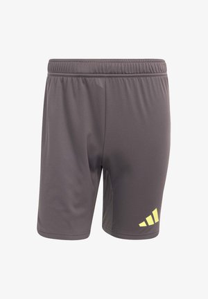 adidas Performance Kurze Sporthose - grau