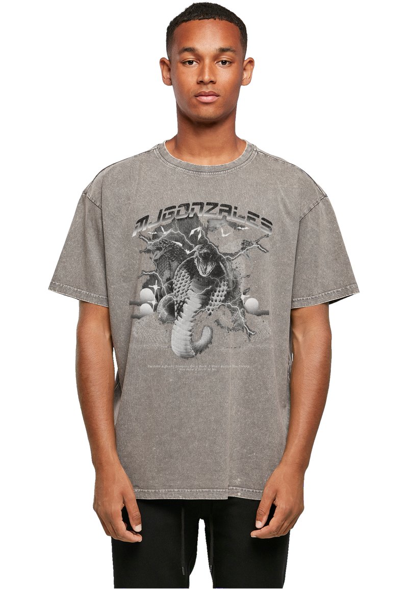 Grå oversized bomulds t-shirt med korte ærmer, med et grafikdesign af slanger og æg på forsiden. Slidt tekstur og sømme.