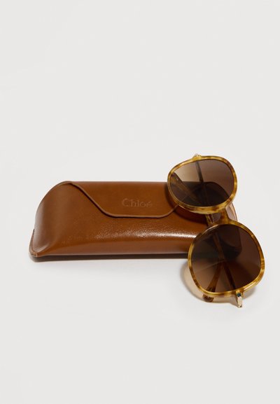 Καφέ γυαλιά ηλίου με καφέ φιλέτο και σκουρόχρωμους φακούς που ξεκουράζονται επάνω σε καφέ δερμάτινη θήκη Chloé σε λευκό φόντο.