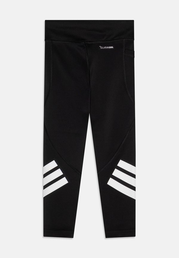 JUNIOR UNISEX - Tights