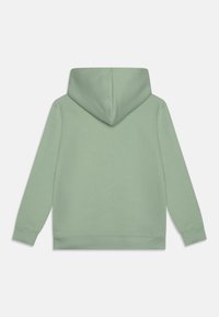 Bluza z kapturem w jasnozielonym kolorze. Posiada kieszeń typu kangur, ściągacze na mankietach i u dołu, oraz gładką, miękką fakturę.