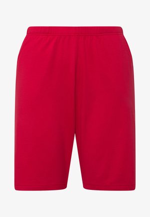 Ulla Popken, BERMUDA - Shorts - red