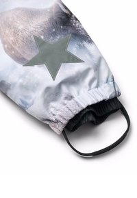 Molo POLARIS - Žieminis kombinezonas - grey