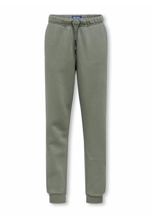 NORMAL GESCHNITTEN - Jogginghose - castor gray