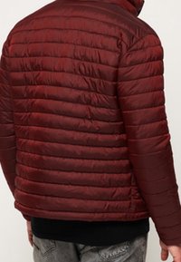 Vínová péřová bunda s rovnoměrně rozloženým horizontálním prošíváním, hladkou texturou, vysokým límcem a přiléhavým střihem, zobrazená zezadu.