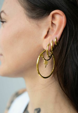 Wildcat Ohrringe - hochglanzpoliert