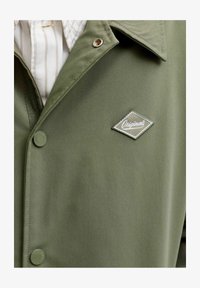 Δεν επιλέχθηκε, dusty olive