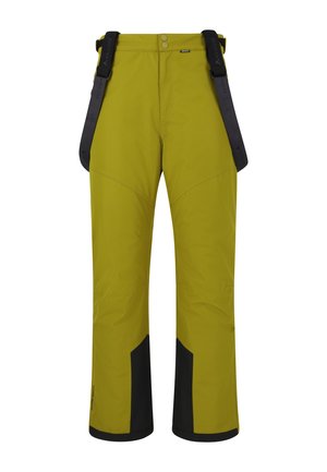 Pantalons de ski pour hommes en vert, avec des accents noirs, des bretelles réglables, une texture lisse et une coupe décontractée avec des poignets renforcés.