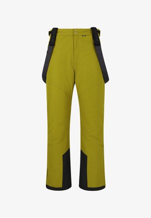 Pantalons de ski pour hommes en vert, avec des accents noirs, des bretelles réglables, une texture lisse et une coupe décontractée avec des poignets renforcés.
