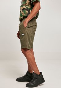 Southpole TWILL - Šortky - olive