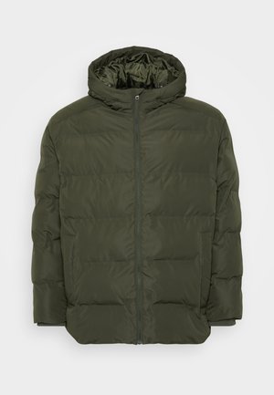 Green padded winter jacket with hood, front zipper, and side pockets, displayed on a plain white background.