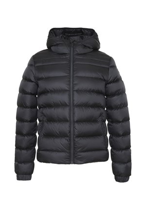 CEDRICK - Piumino - black