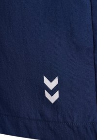Pantaloni corti in tessuto blu navy con una superficie liscia, caratterizzati da un logo chevron bianco sul lato sinistro in basso. Le cuciture sono ben rifinite.