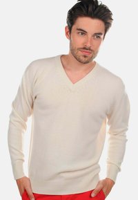 Pull à col V de couleur crème avec des manches longues, des poignets côtelés et un ourlet côtelé. Fabriqué dans un tissu doux et texturé, agrémenté de détails de couture subtils.