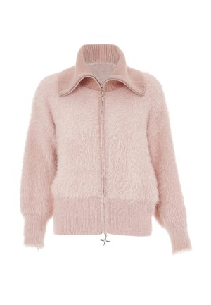 CO-BRANDED WITH NALLY - Vinterjakker - rosa
