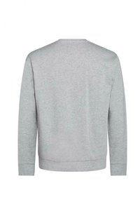 Sweatshirt gris clair à manches longues avec col rond, vu de dos, avec une texture de tissu lisse et unie.