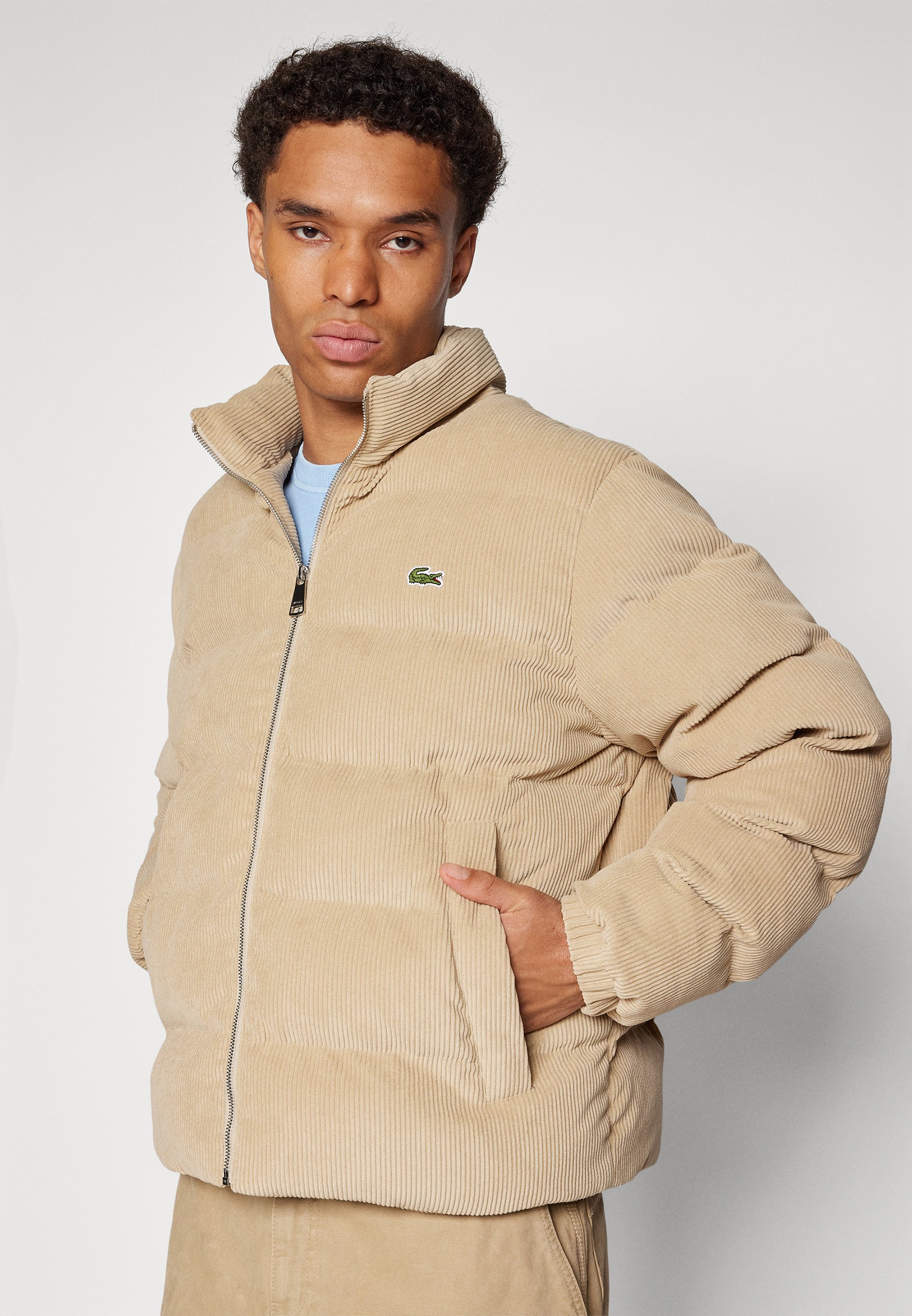 Lacoste Winter jacket - viennese/beige - Zalando.co.uk