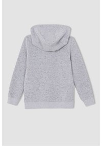 Sweat à capuche gris clair en tissu doux et texturé. Il comprend une capuche intégrale, des manches longues, ainsi que des poignets et un ourlet côtelés.