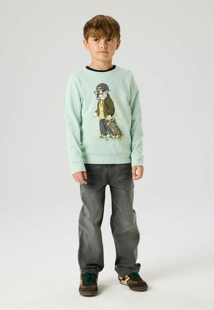 Junge mit kurzen braunen Haaren, der einen mintgrünen Pullover mit einem grafischen Skateboard-Hund, graue Jeans und braune Turnschuhe trägt und vor weißem Hintergrund steht.