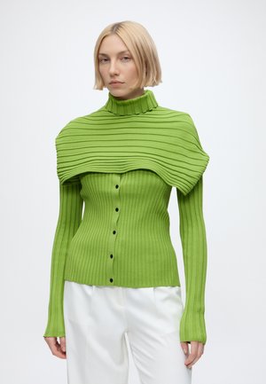 Vrouw met kort blond haar draagt een groene geribbelde gebuttonede trui en bijpassende groene geribbelde gebreide sjaal over witte broek tegen een witte achtergrond.