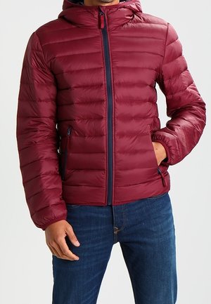 Piumino - dark red