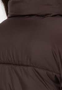 Dickies Zimní bunda - dark brown