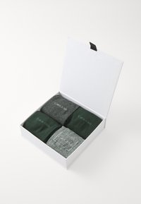 Calvin Klein Underwear MEN SOCK LOGO GIFTBOX 4PACK - Čarape - grey/green